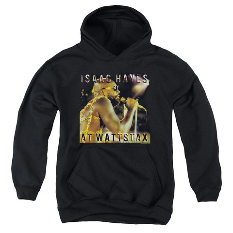 Youth Hooded Sweatshirt