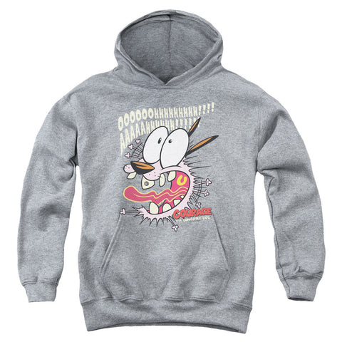 Youth Hooded Sweatshirt