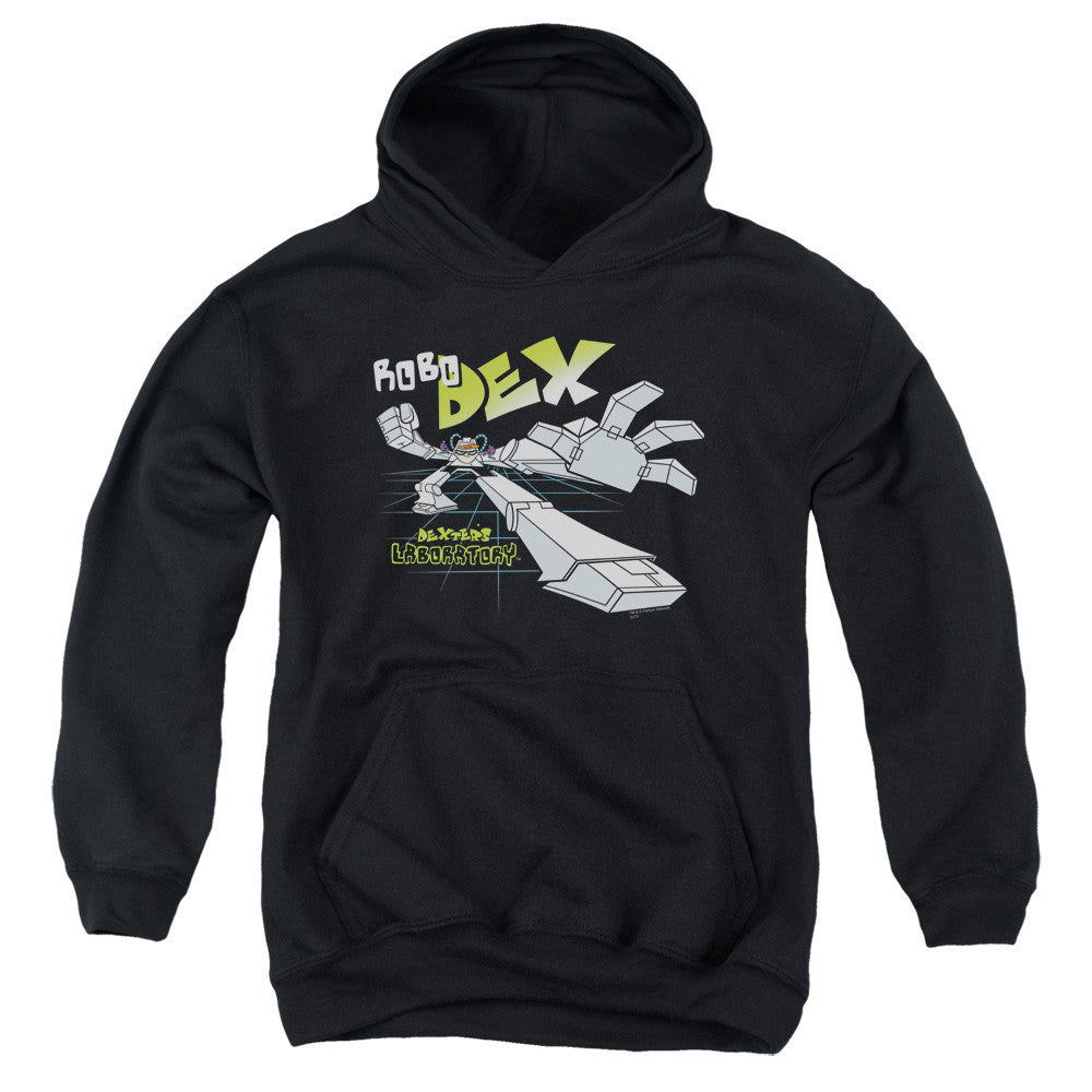 Youth Hooded Sweatshirt