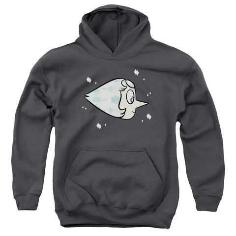 Youth Hooded Sweatshirt