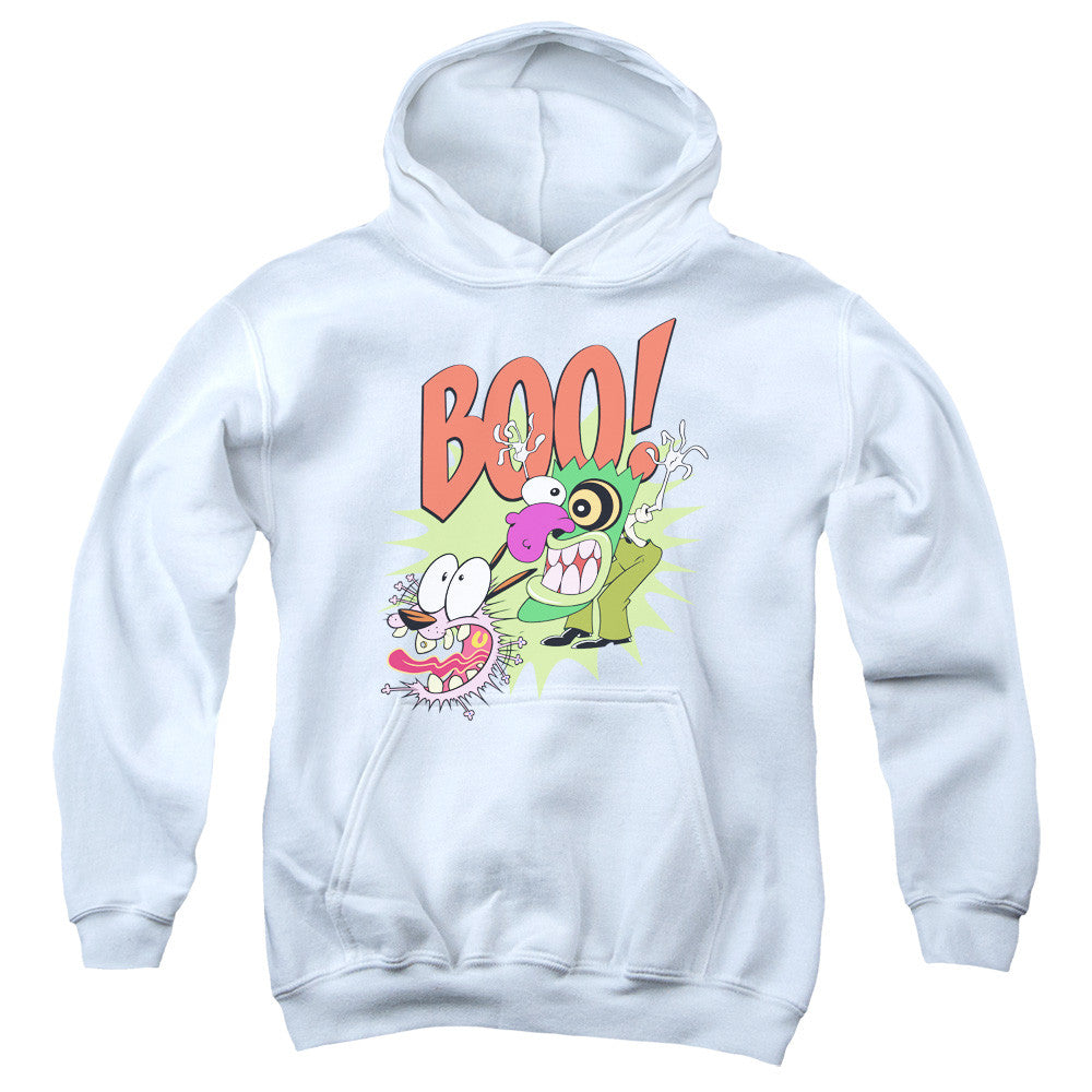 Youth Hooded Sweatshirt