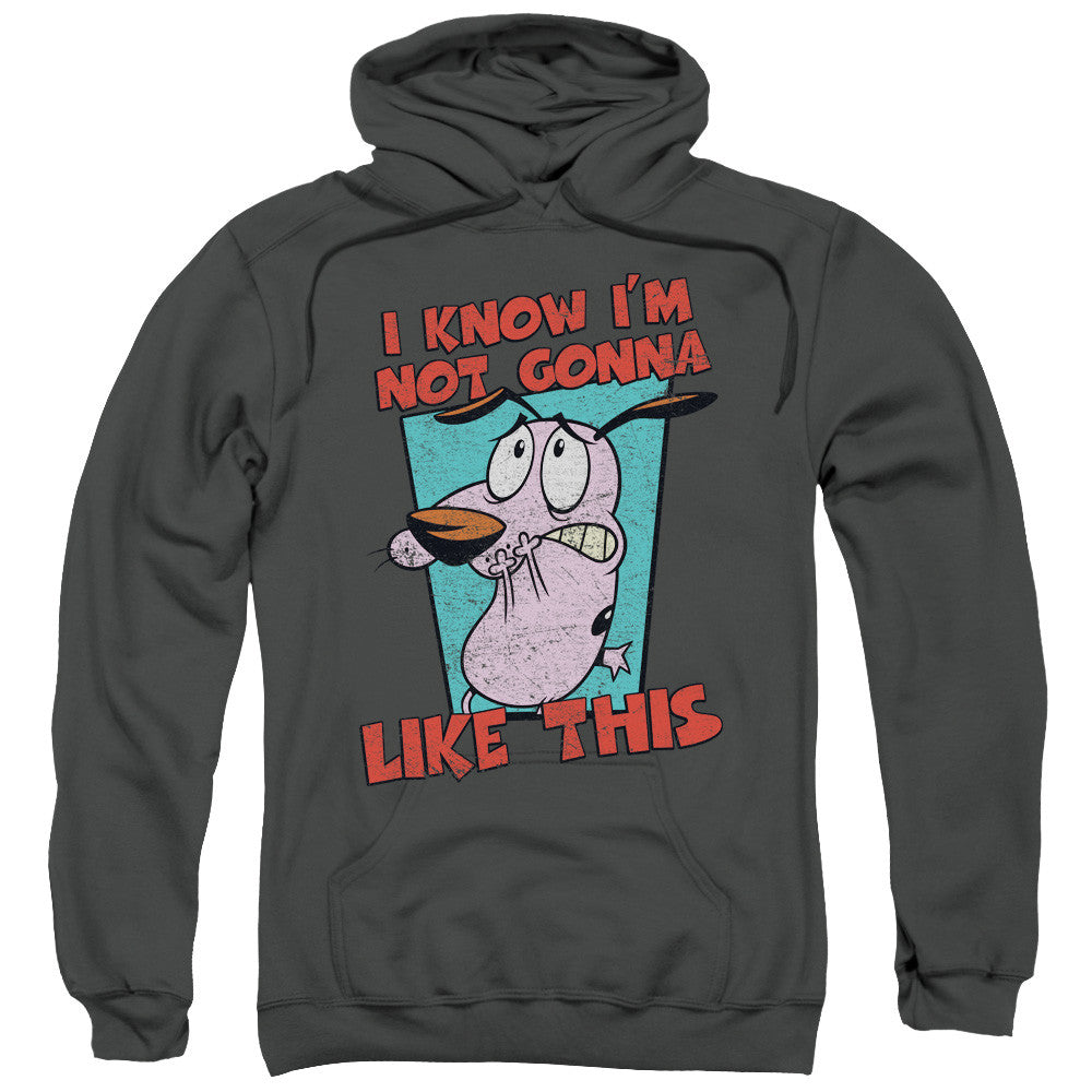 Adult Pull-Over Hoodie
