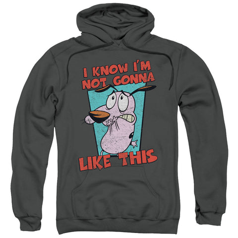 Adult Pull-Over Hoodie