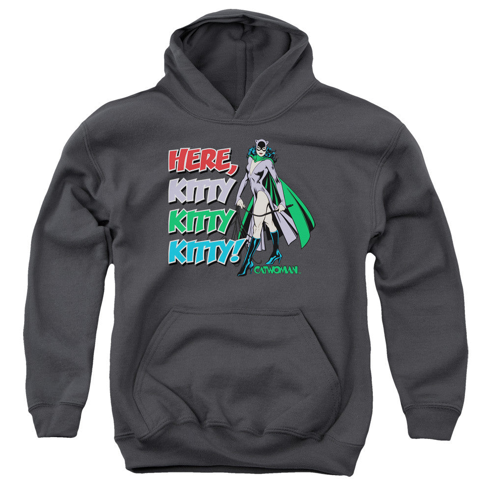 Youth Hooded Sweatshirt