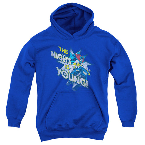 Youth Hooded Sweatshirt