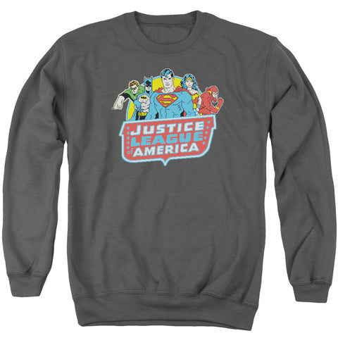 Adult Crewneck Sweatshirt