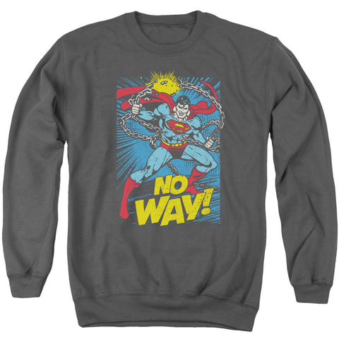 Adult Crewneck Sweatshirt