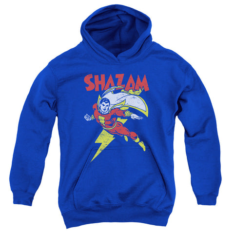 Youth Hooded Sweatshirt