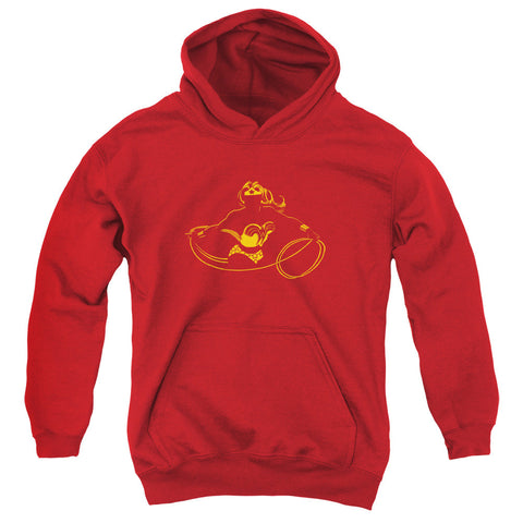 Youth Hooded Sweatshirt