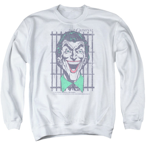 Adult Crewneck Sweatshirt