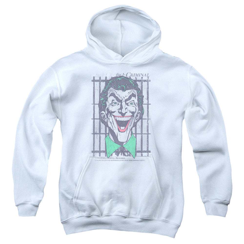 Youth Hooded Sweatshirt