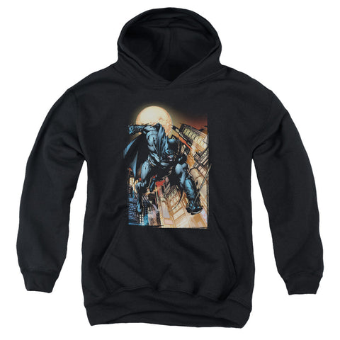 Youth Hooded Sweatshirt