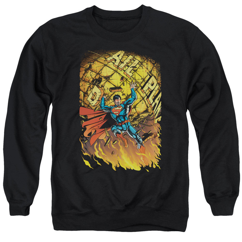 Adult Crewneck Sweatshirt