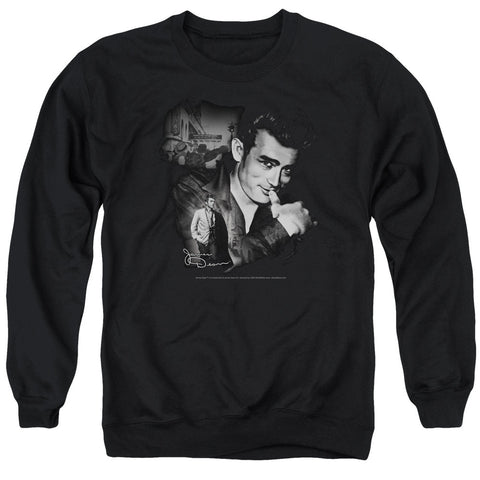 Adult Crewneck Sweatshirt