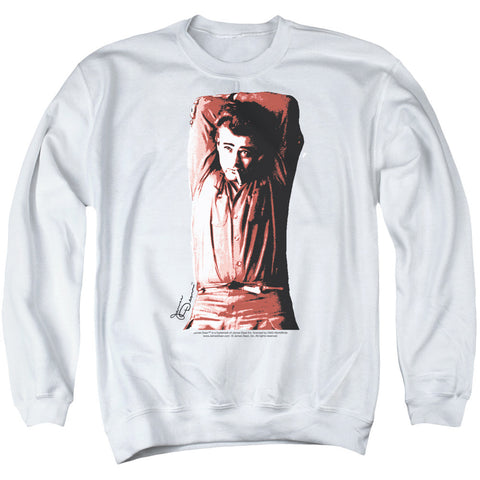 Adult Crewneck Sweatshirt