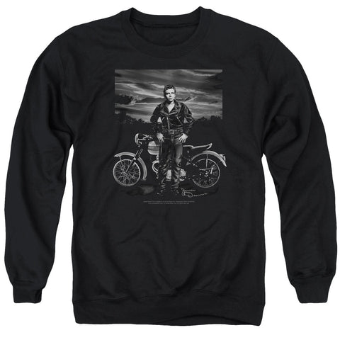 Adult Crewneck Sweatshirt