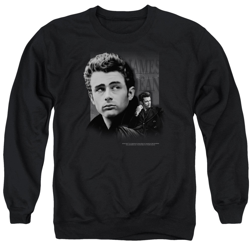 Adult Crewneck Sweatshirt