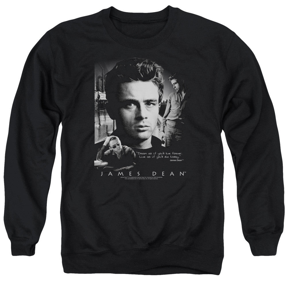 Adult Crewneck Sweatshirt