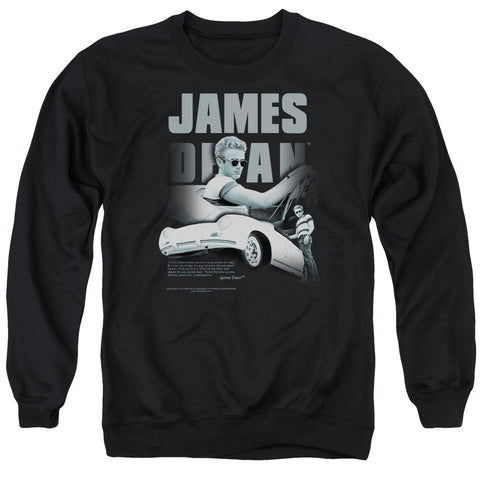 Adult Crewneck Sweatshirt