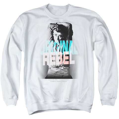 Adult Crewneck Sweatshirt