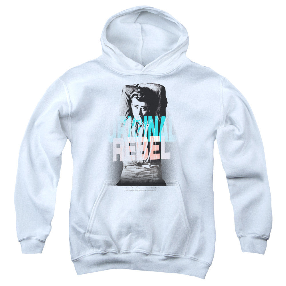 Youth Hooded Sweatshirt