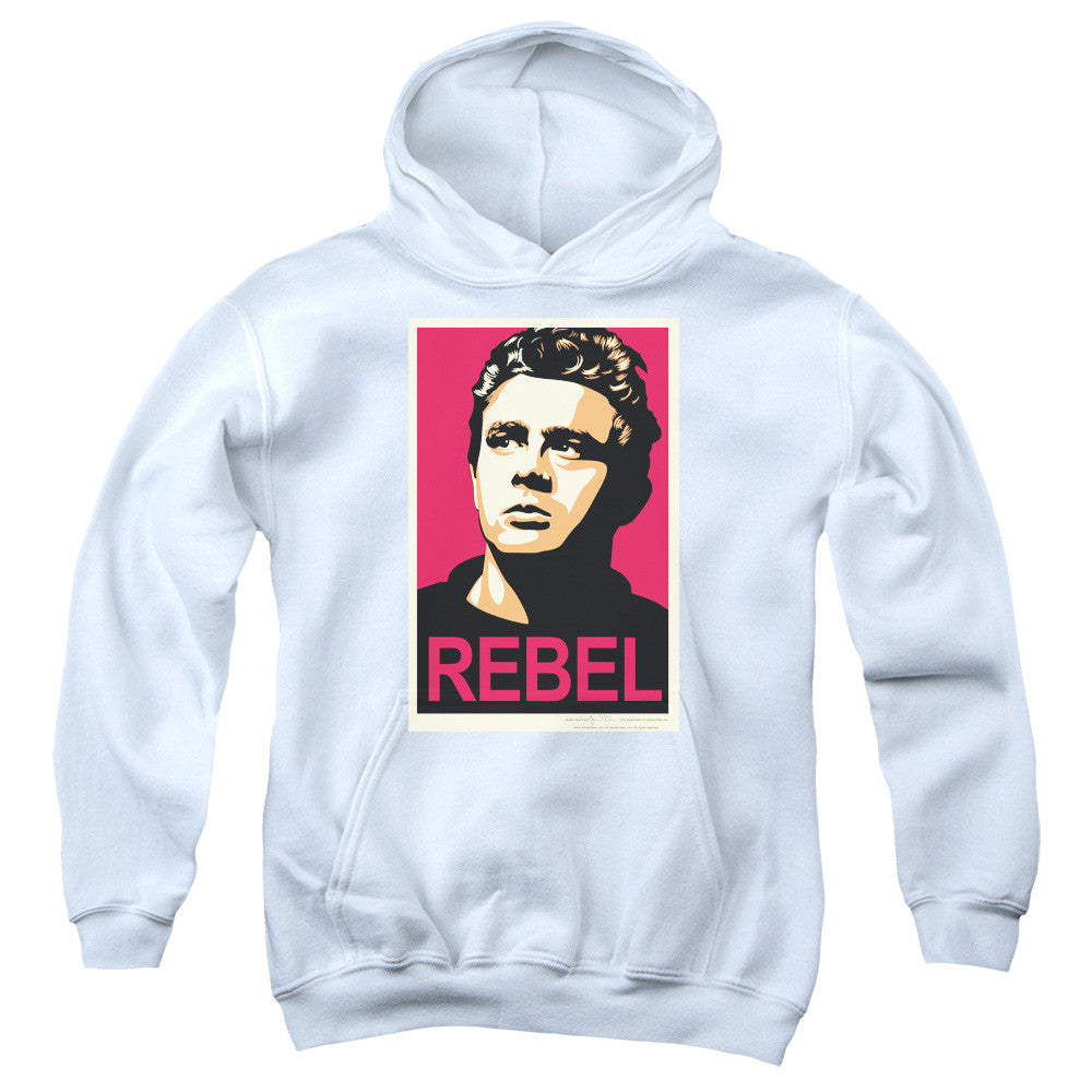 Youth Hooded Sweatshirt