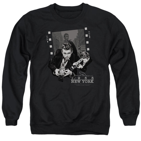 Adult Crewneck Sweatshirt