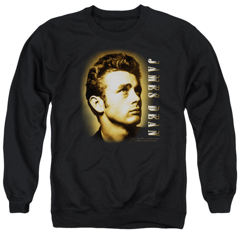 Adult Crewneck Sweatshirt