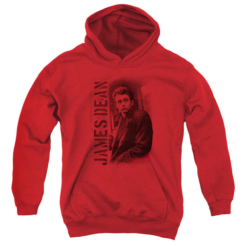 Youth Hooded Sweatshirt