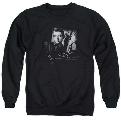 Adult Crewneck Sweatshirt