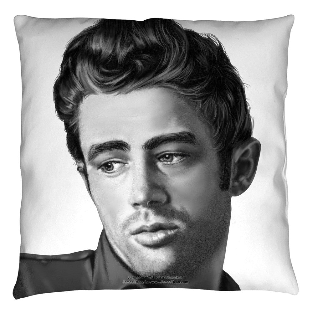 Throw Pillow -  - null