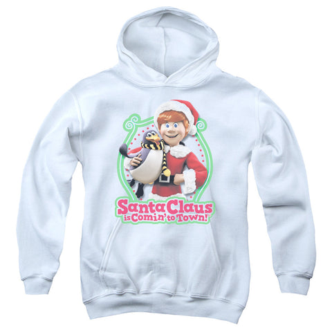 Youth Hooded Sweatshirt