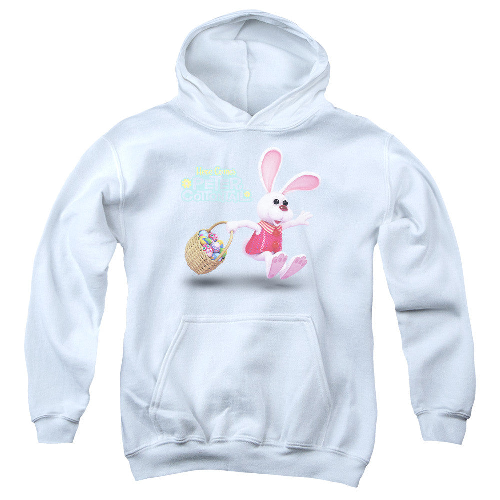 Youth Hooded Sweatshirt