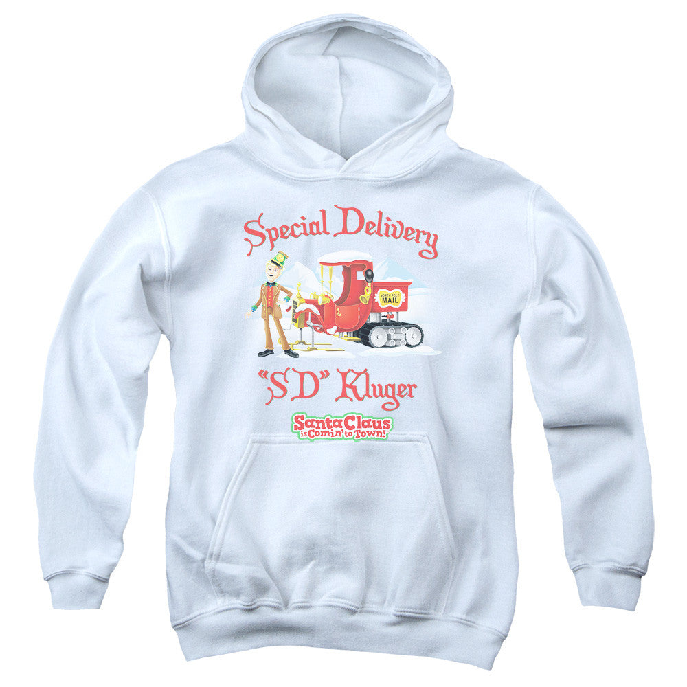 Youth Hooded Sweatshirt