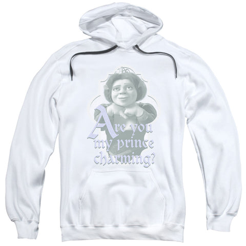 Adult Pull-Over Hoodie