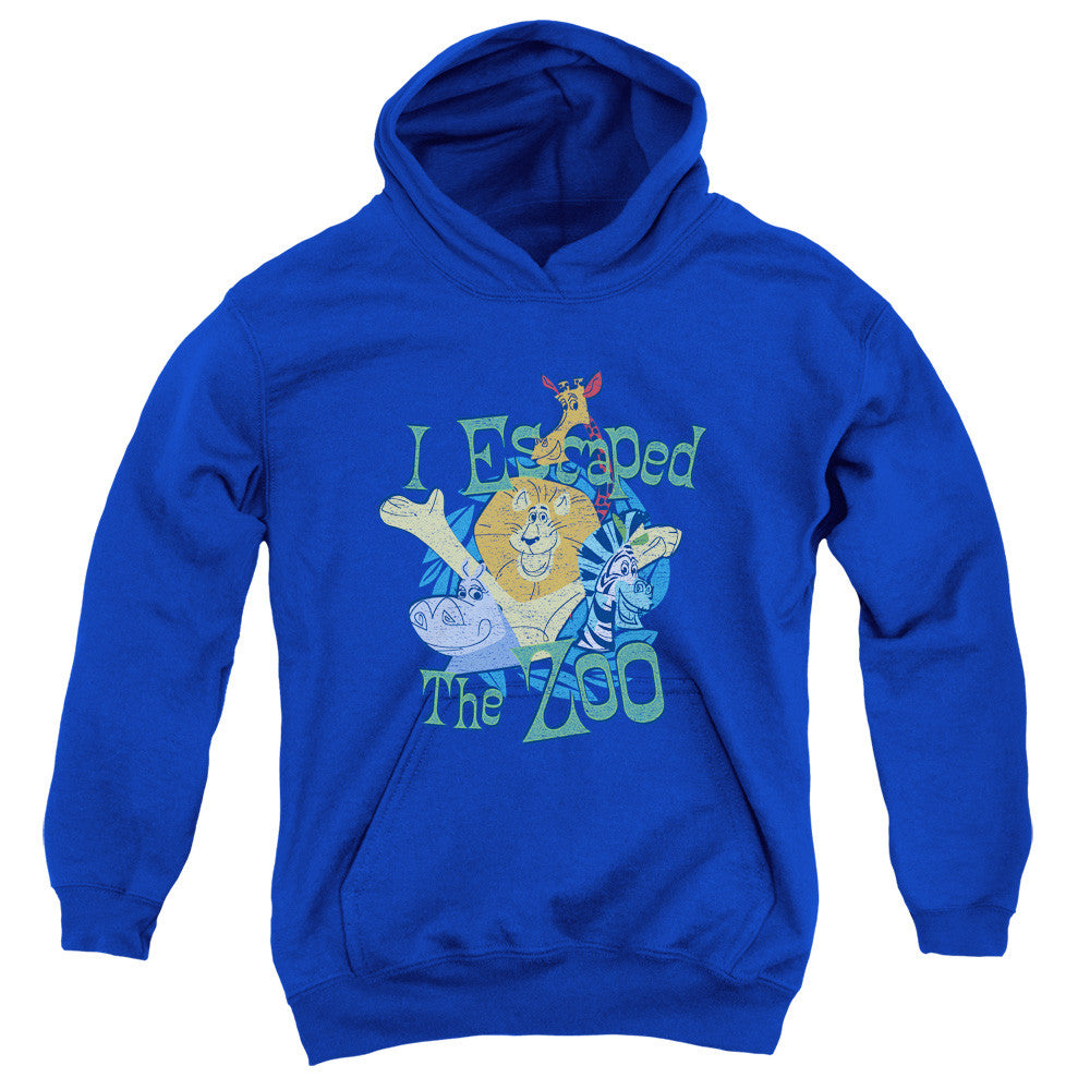 Youth Hooded Sweatshirt