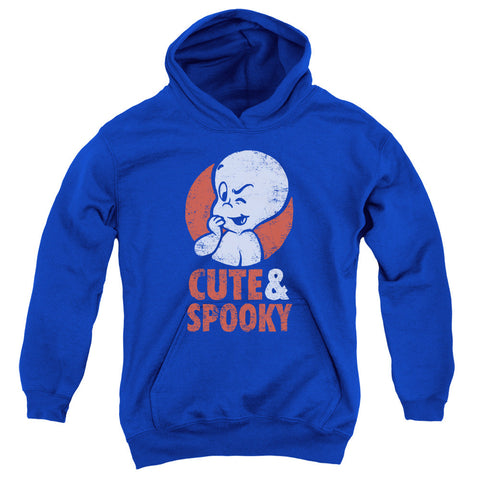 Youth Hooded Sweatshirt