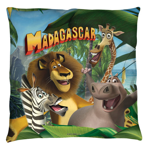 Throw Pillow -  - null