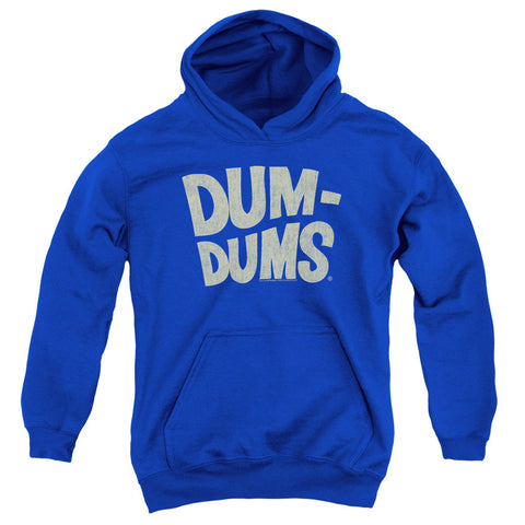 Youth Hooded Sweatshirt