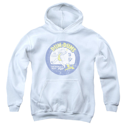 Youth Hooded Sweatshirt