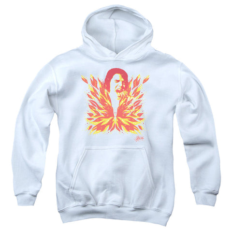 Youth Hooded Sweatshirt