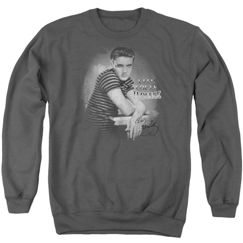 Adult Crewneck Sweatshirt