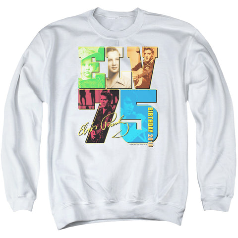 Adult Crewneck Sweatshirt