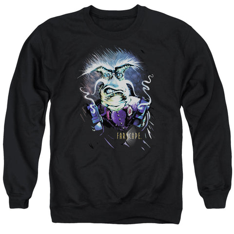 Adult Crewneck Sweatshirt