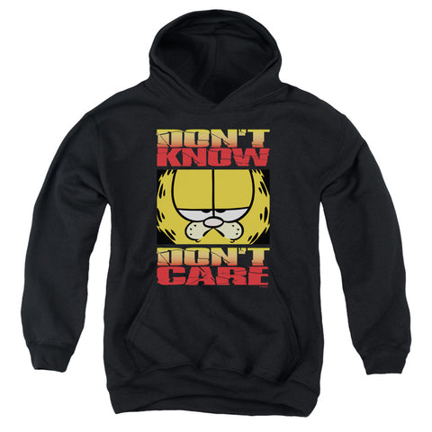 Youth Hooded Sweatshirt