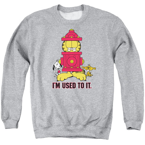 Adult Crewneck Sweatshirt