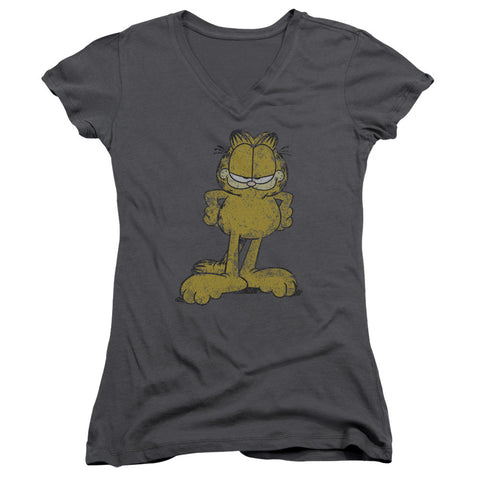 Juniors Sheer Cap Sleeve V-Neck