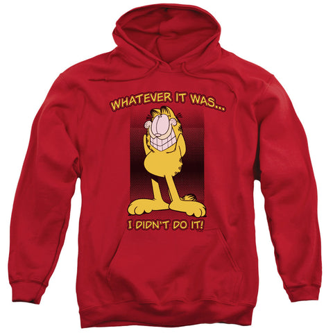 Adult Pull-Over Hoodie