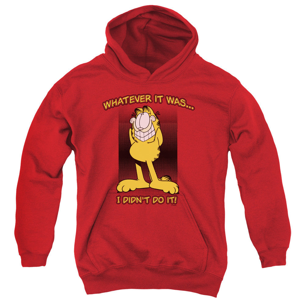 Youth Hooded Sweatshirt