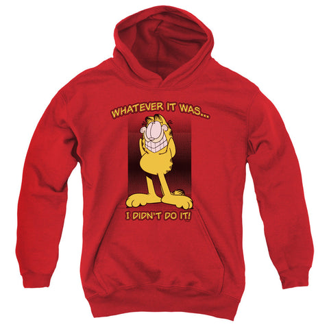 Youth Hooded Sweatshirt